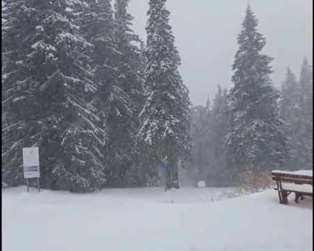 Зимата се завърна! Сняг трупа на Пампорово