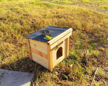 Доброто заразява! Пловдивчани отвориха сърцата си за добра кауза