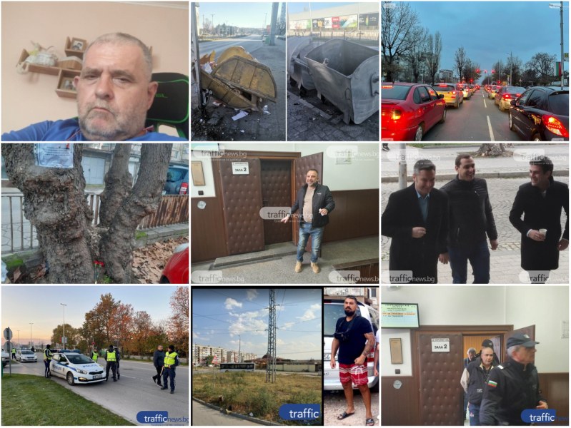 ОБЗОР: Какви са идеите за зоопарка в Пловдив? Жрица на любовта разказва за услугите си пред съда