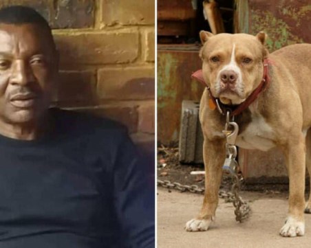 Бивш национал на Замбия беше изяден от кучета