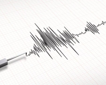 Земетресение в района на Елин Пелин