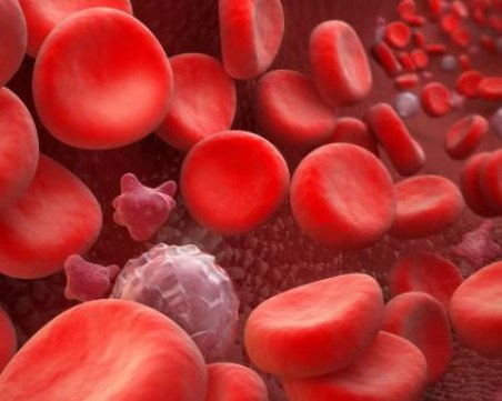 Тези храни помагат за прочистването на кръвта