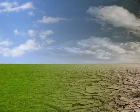 Последните 9 години са най-топлите, откакто има измервания  - къде е България в глобалното затопляне?