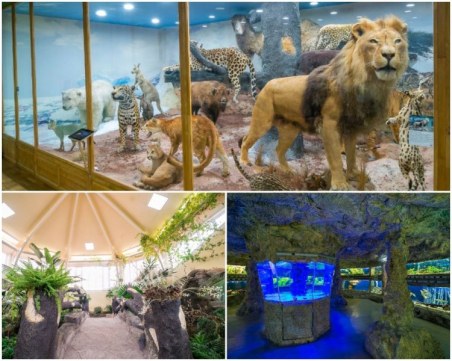 Природонаучният става първият зелен музей в България