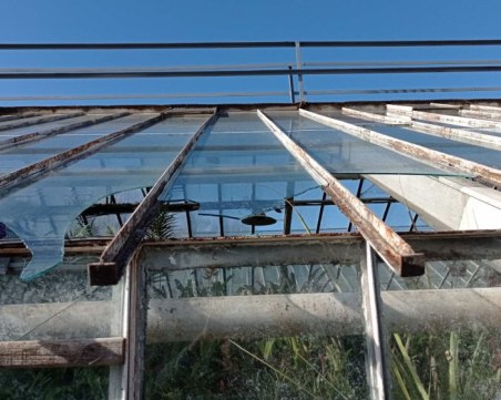 Ураганният вятър нанесе щети в ботаническата градина на БАН