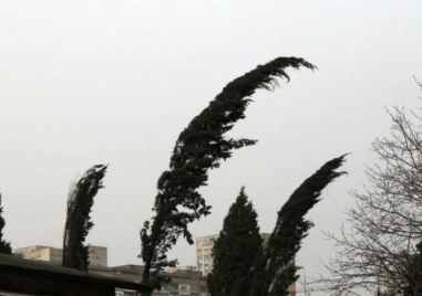 Общината предупреждава за повишено внимание заради силния вятър в Пловдив