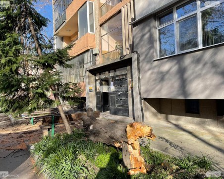 Четвърто дете е прието в болница, след инцидента с падналото дърво в Пловдив