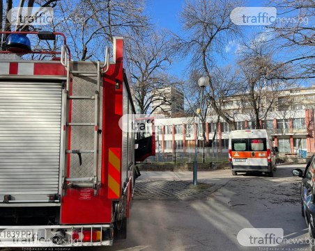 Откараха с линейка две деца, пострадали при инцидента с паднало дърво в Пловдив
