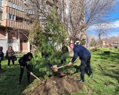 Залесиха междублоково пространство в „Северен