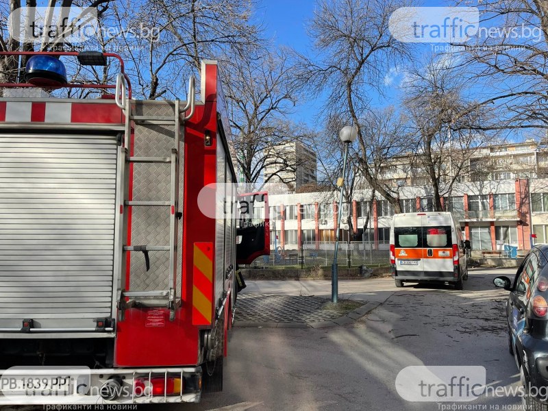 Откараха с линейка две деца, пострадали при инцидента с паднало дърво в Пловдив