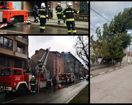 Няколко сигнала за паднали дървета в Пловдивско вдигнаха пожарникарите на крак