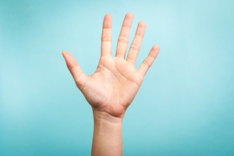 Дължината на пръстите ни казва много за физическите, но и