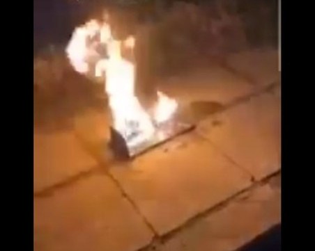 Арестуваха 50-годишн мъж, измъчвал котка и запалил плъх