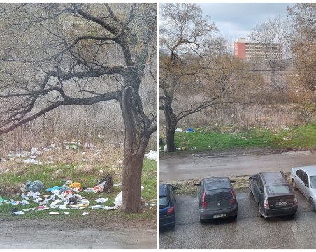 Улица в Пловдив тъне в мизерия, шофьори я ползват за сметище и тоалетна