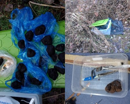 Пловдивската полиция разби домашна лаборатория за производство на дрога