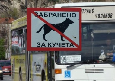Пловдивчани могат да пътуват с домашния си любимец в автобус