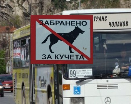 С куче в градския транспорт? В София – може, в Пловдив – само някои четириноги