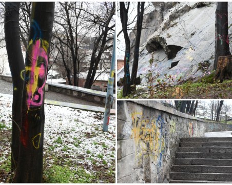 Драскачите на Пловдив като паразити! Нападнаха дори дърветата на Сахат тепе