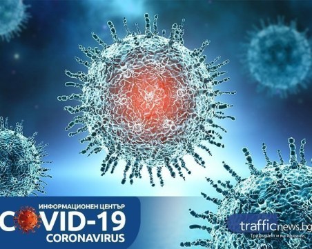 COVID в цифри: Само 13 нови случая