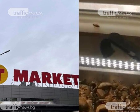 Хлебарка налази топлата витрина на Т-Маркет в Изгрев. Супермаркетът: Има проблем с инсталацията