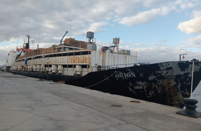Залови 4,5 тона кокаин в кораб, транспортиращ крави край Канарските острови