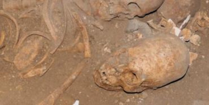 Откраднаха череп на жена отпреди 2000 години