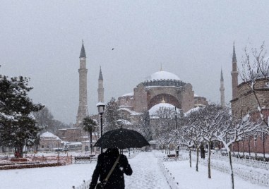 Турските авиолинии Turkish Airlines отмениха близа 240 полета през следващите