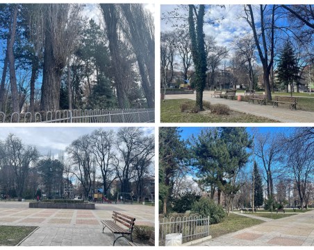 Парковете на Пловдив: „Белите брези”  - зеленото кътче в сърцето на Кючука