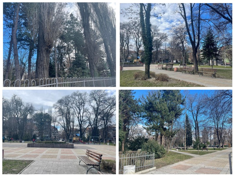 Парковете на Пловдив: „Белите брези”  - зеленото кътче в сърцето на Кючука