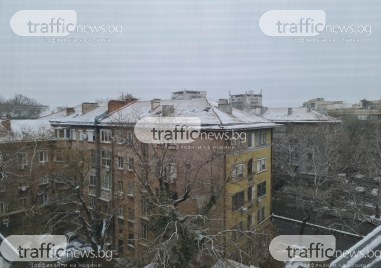 Дългоочакваният сняг в Пловдив зарадва малчугани тази сутрин През нощта