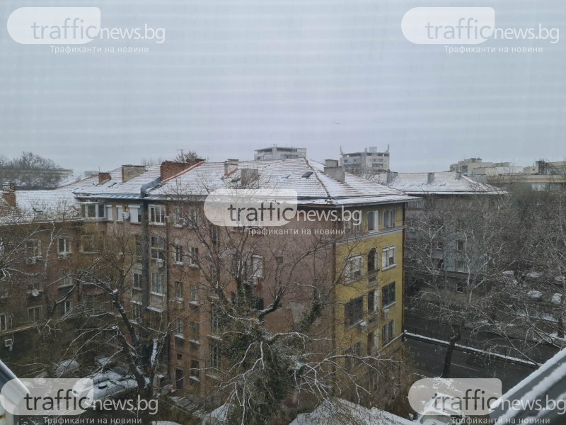 Дългоочакваният сняг в Пловдив зарадва малчугани тази сутрин. През нощта