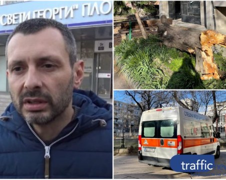 Три седмици след инцидента с дърво в Пловдив: Пострадалото дете остава неподвижно