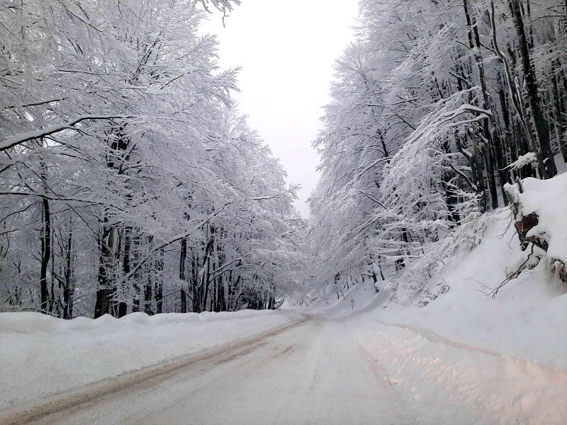 550 снегорина почистват пътните настилки в районите със снеговалеж, за