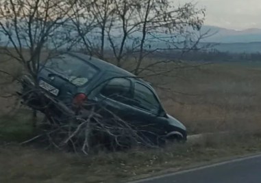 Кола катастрофира и се стовари върху дърво Инцидентът е станал