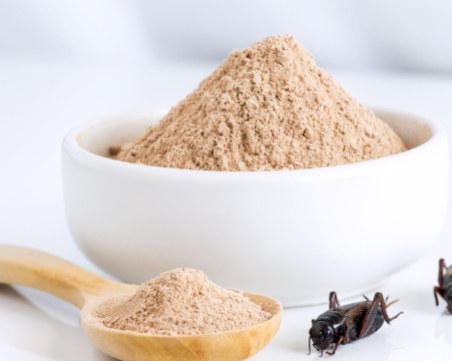 Да ядем щурци? Задължително? Как вдъхновена от Москва кампания превзема и България