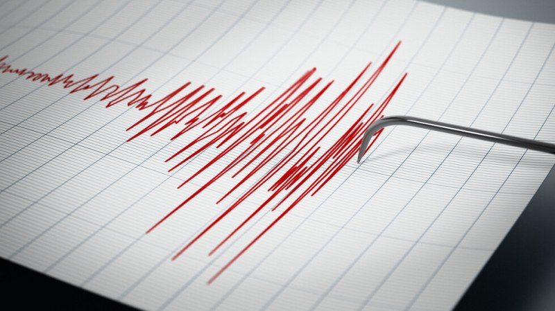 Земетресение с магнитуд 5,8 по Рихтер разтърси Индонезия