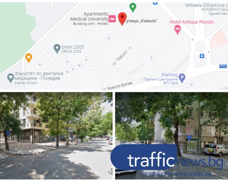 „Градини и паркове” се „активизираха” след година сигнали за опасни дървета в Пловдив