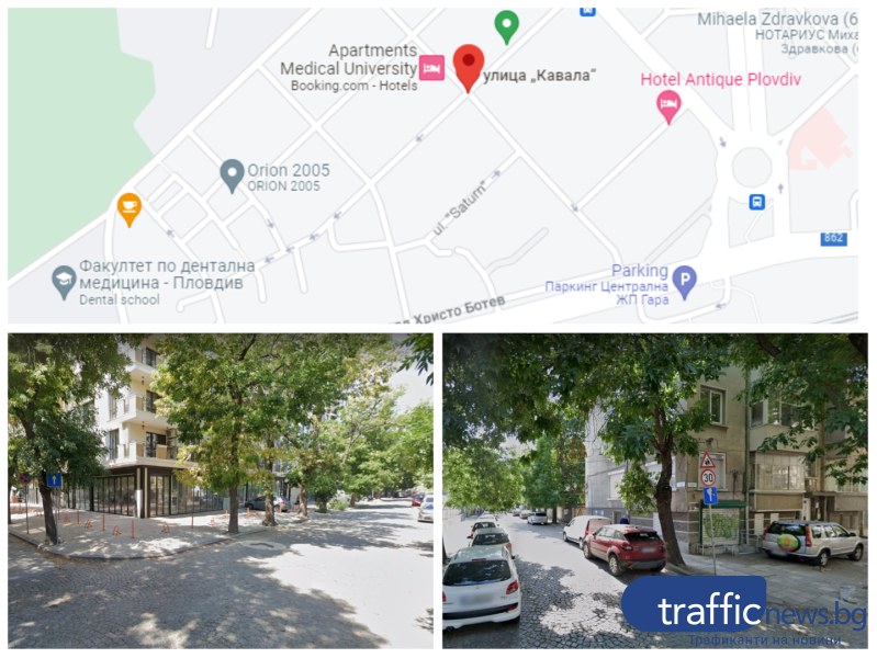 „Градини и паркове” се „активизираха” след година сигнали за опасни дървета в Пловдив