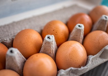Цената на яйцата достигна рекордни стойности В Белгия отчитат ръст