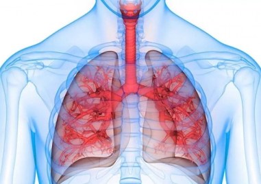 Учени от университета в Сидни идентифицираха протеин в белите дробове