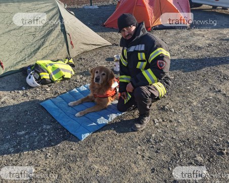 Кучето Килиан, пратено на мисия с пловдивските доброволци, откри живи хора под руините в Турция