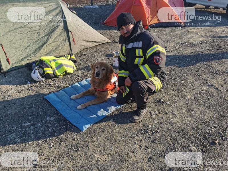 Кучето Килиан, пратено на мисия с пловдивските доброволци, откри живи хора под руините в Турция