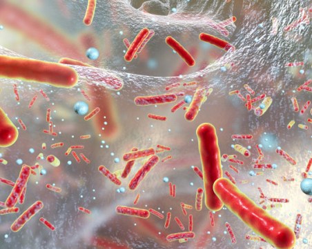 16 нови случая на свински грип в страната