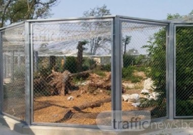 Дългоочакваният рестарт на зоопарка в Пловдив няма да се състои