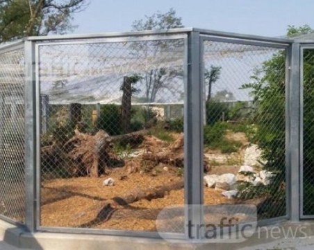 Отново във фризера - третият рестарт на зоопарка в Пловдив няма да се състои