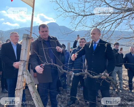 Румен Радев и Явор Гечев зарязаха ритуално лозята в родопското село Устина