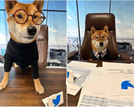 Илон Мъск „назначи” куче за главен изпълнителен директор на Twitter