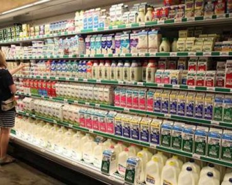 Въпреки, че млякото гони 4 лв./литъра – 50% от фермите у нас пред фалит