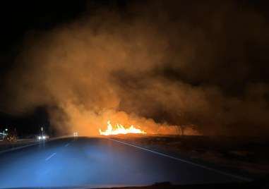 Пожар е избухнал край главния път Пловдив Пазарджик сигнализираха шофьори