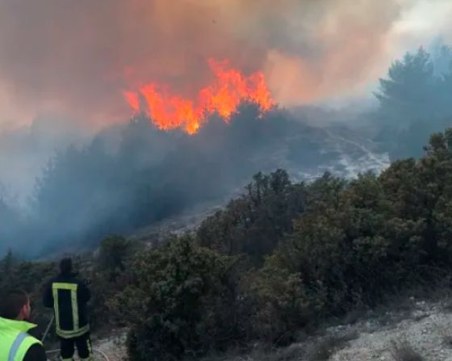 Голям пожар край Разлог, горят 18 декара иглолистни гори